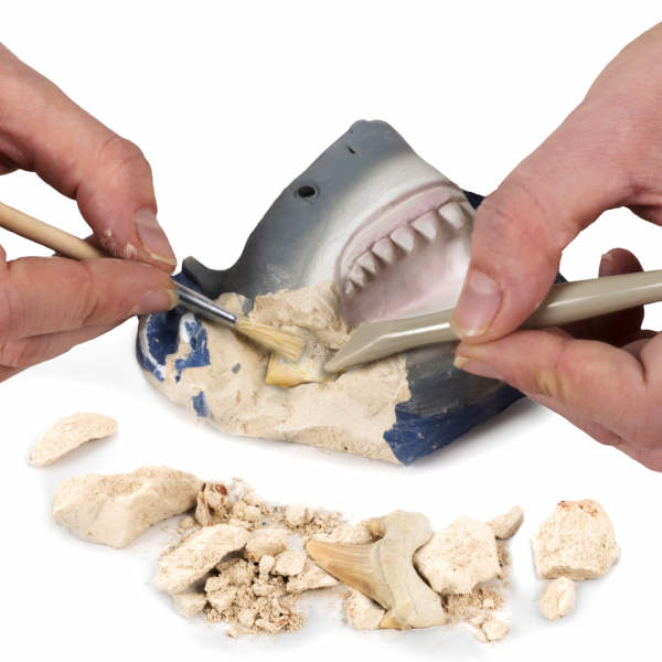 National Geographic - Shark Teeth Dig Kit
