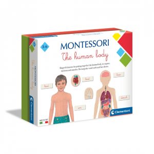 Clementoni - Montessori Human Body
